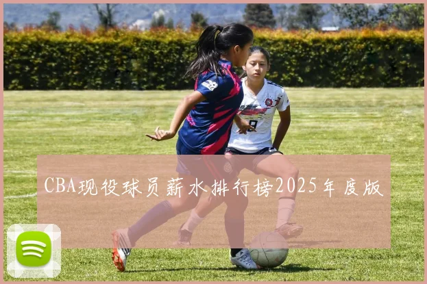 CBA现役球员薪水排行榜2025年度版